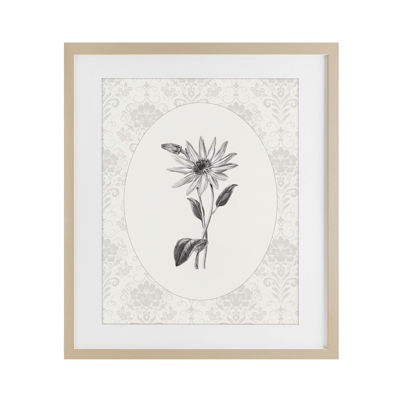 Stupell Industries Antique Botanical & Lace Framed Print Under Glass, design by CAD Designs